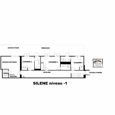 Silene *